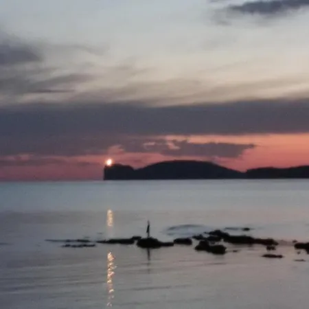From Giulia Cozy House 200 Meters From The Sea Alghero